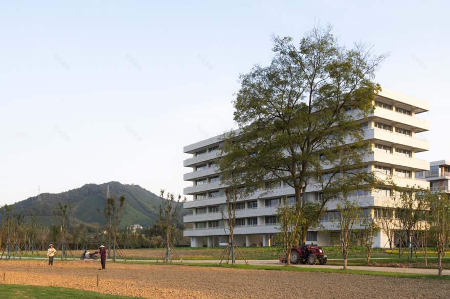 东山岛社区丨中国浙江丨MORE Architecture-42