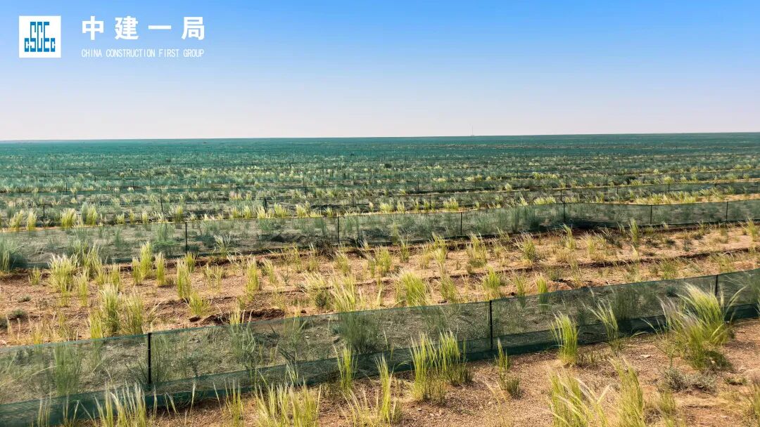 筑牢北方生态安全屏障！中建一局阴山一线生态治理项目工程固沙完工-47