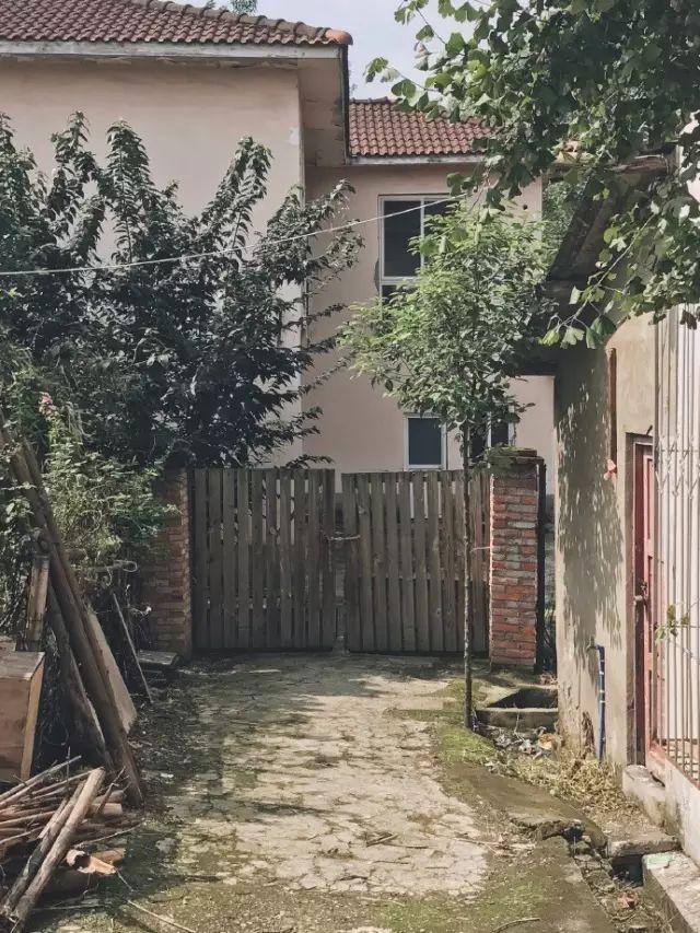 把一个破烂小院，爆改成中国风的入云屋，凉亭、枫树、竹篱笆......-115