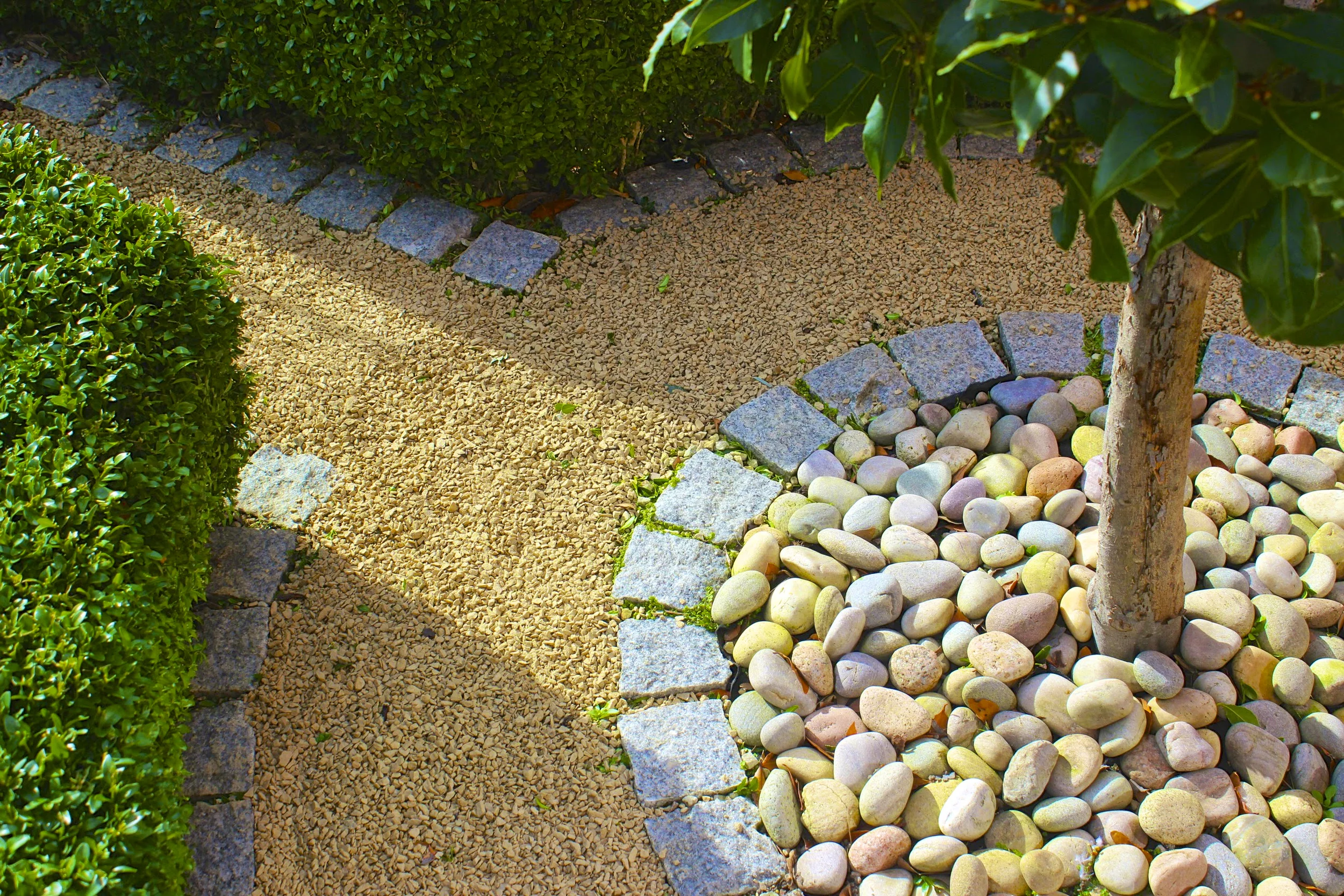 前花园花坛丨IrelandDublin-6