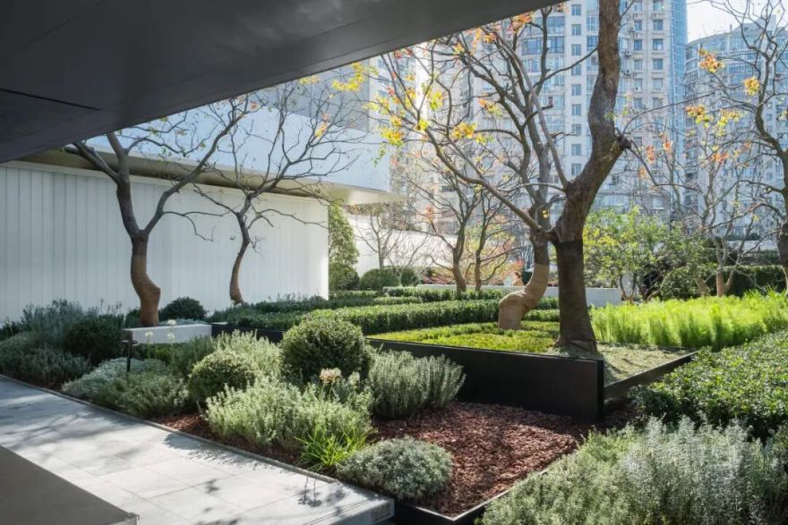 层叠的野性丨武汉瑞安城市展厅-97