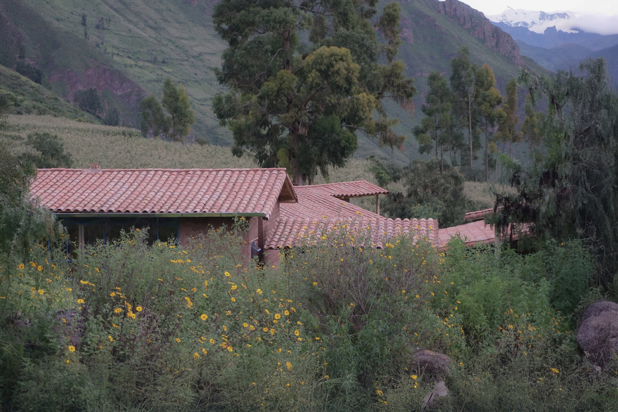 Rural Housing and Lodging – Dormis Donata / Taller MACAA (Misión de Arquitectura, Construcción y Arte en los Andes)-42
