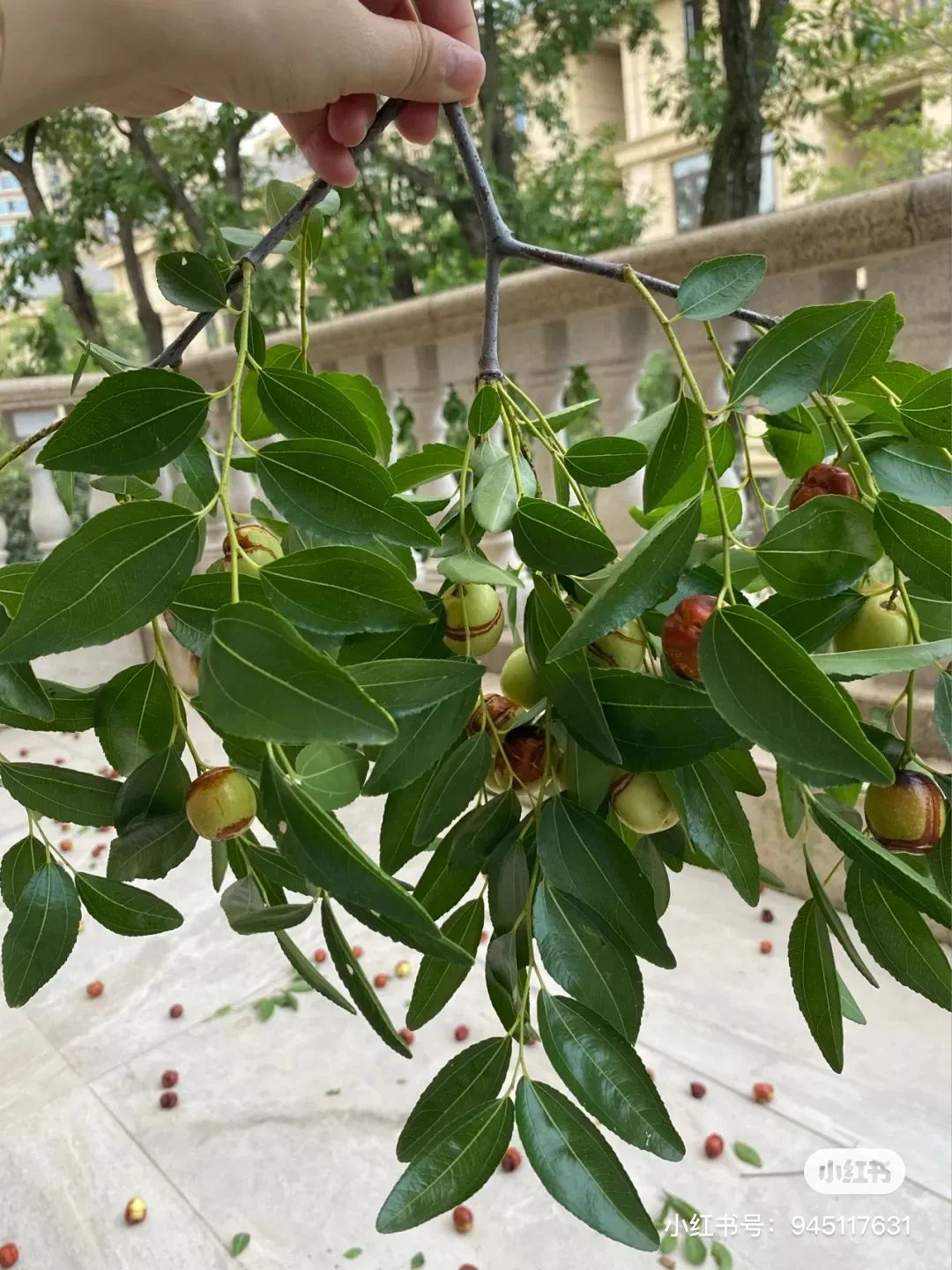 微物之光 · 成都 650㎡自然美学别墅设计丨中国成都丨STUDIO.Y 室内设计事务所-82