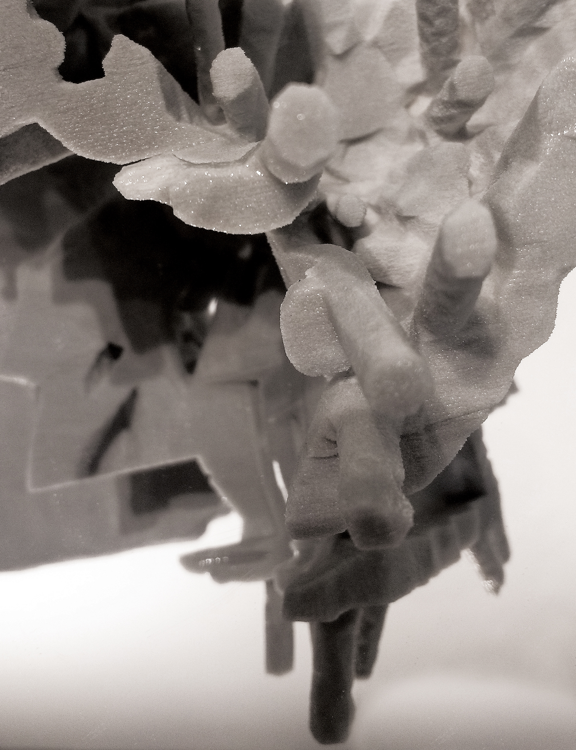 17 年 3 月论文物理模型丨SCIArc-33