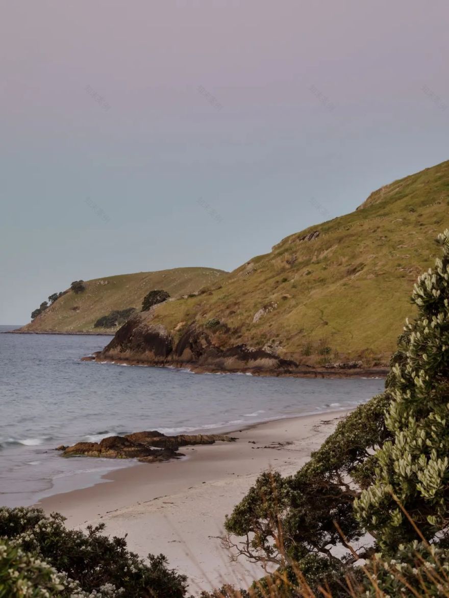 山海之间住宅设计丨新西兰丨Lloyd Hartley Architects-39