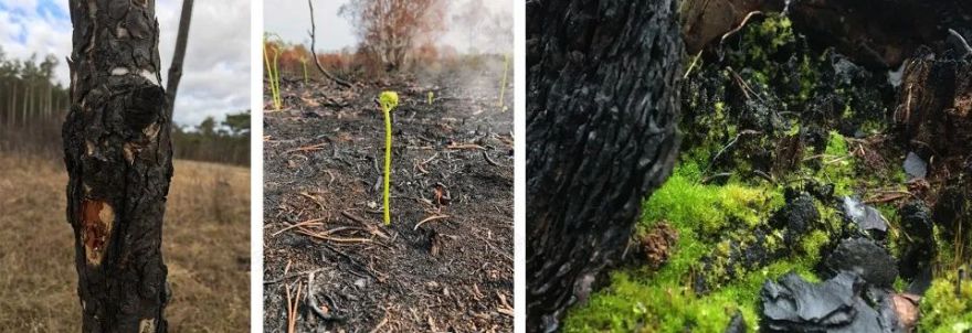 “呼唤希望”沉浸式装置丨奥地利维也纳丨Superflux 设计工作室-23