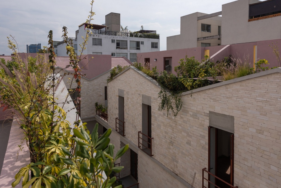 Casa Jardin Escandon 住宅综合体丨墨西哥墨西哥城丨CPDA Arquitectos-31