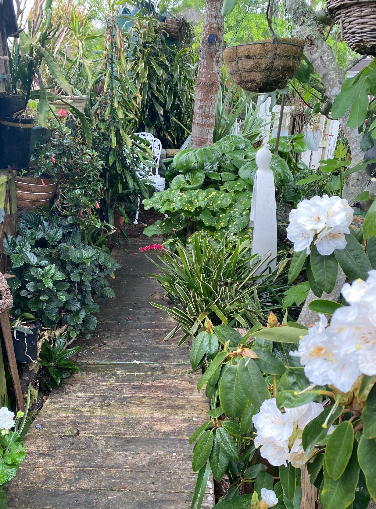 TwoConnect私人花园丨New ZealandAuckland丨Mary和Mark Jones-2