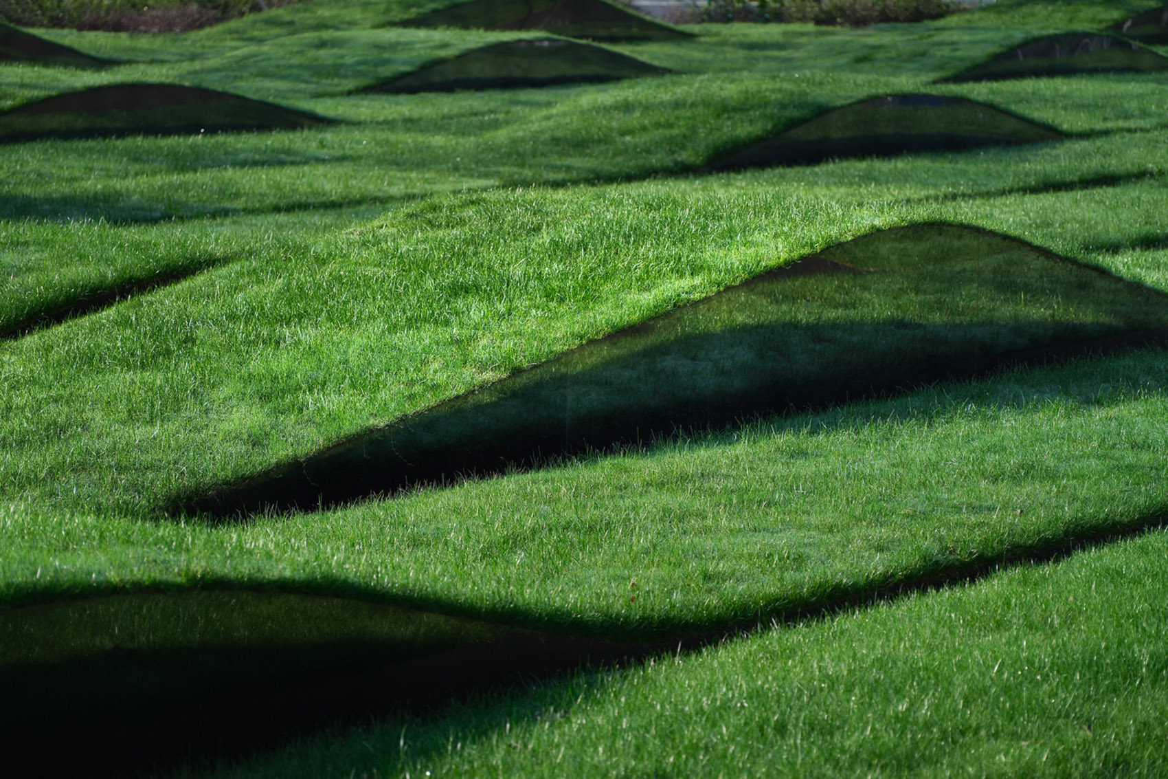 艾美酒店景观设计丨中国郑州丨Shma-12