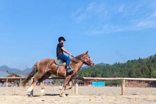 树屋,寻找童话中住在树上的精灵-84