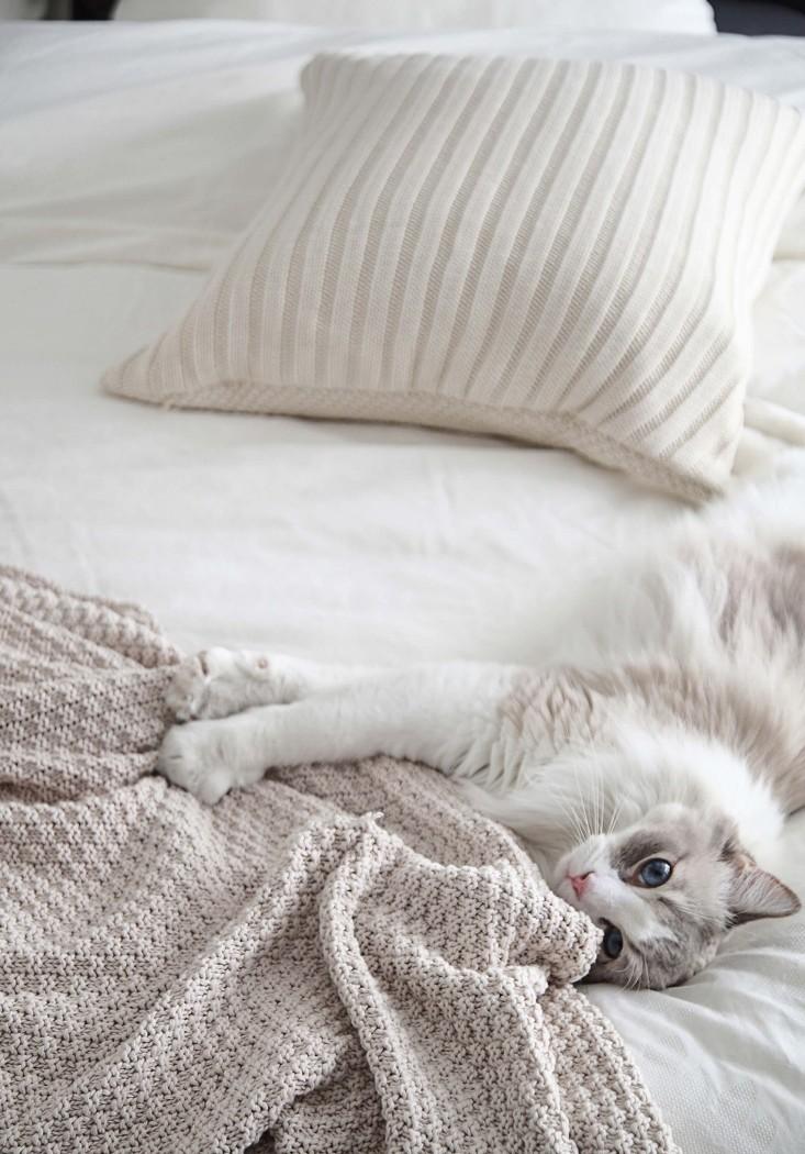 梦境光影中的艾瑞卡生活-45