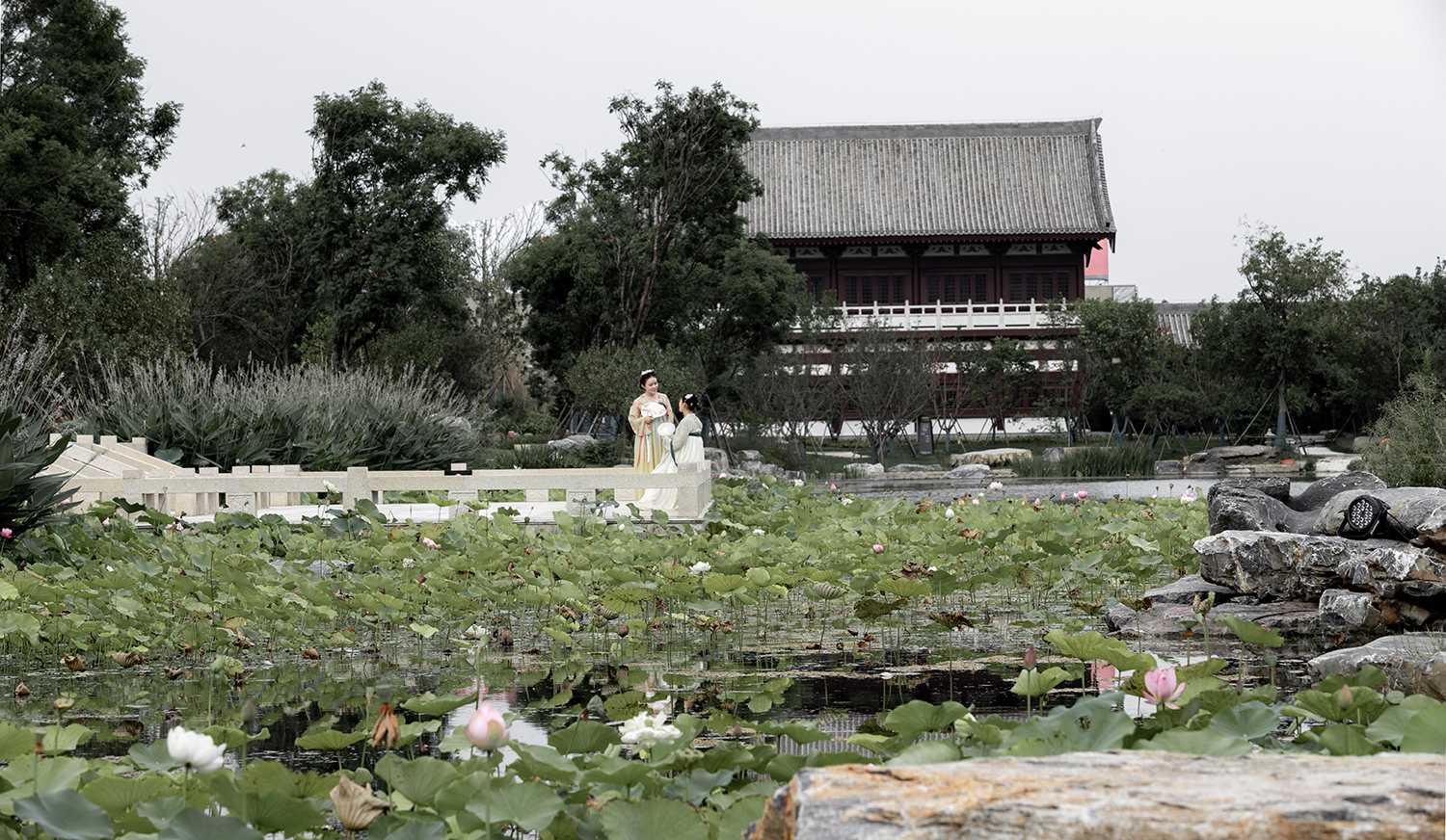 洛阳九洲池公园-32