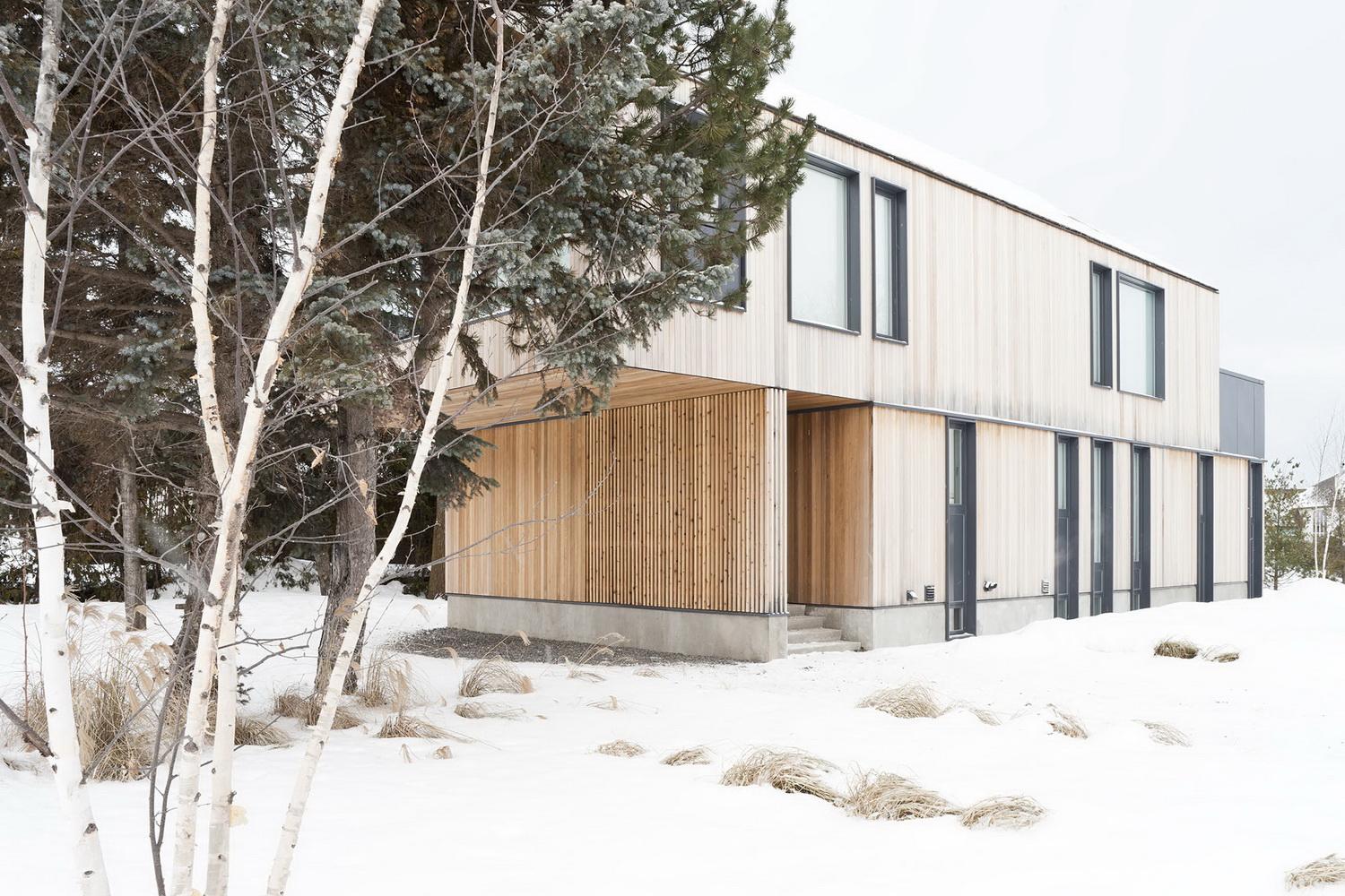 滑雪爱好者的现代艺术之家-28