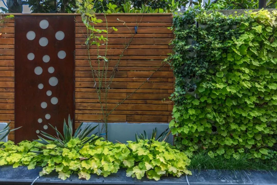 美式庭院设计案例,打造浪漫花园生活-31