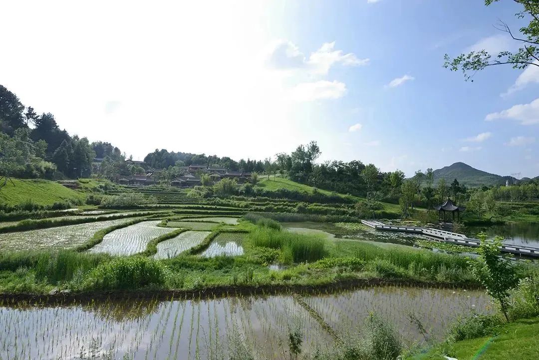 棕榈乡村设计地图带你云游四海丨棕榈设计集团有限公司-36