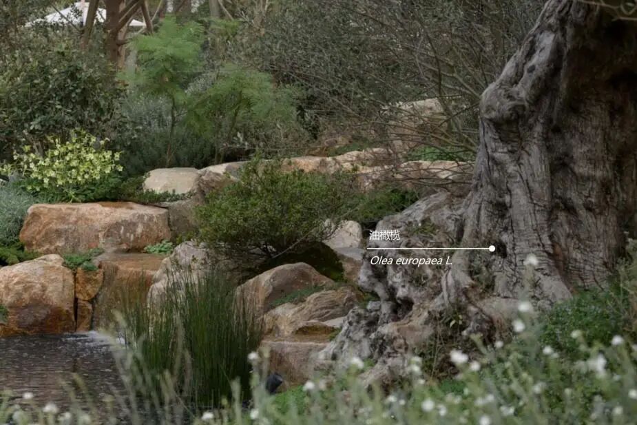 安澜·上海丨中国上海丨翊象设计（方案）,LAURENT罗朗设计（施工图,监造）-18