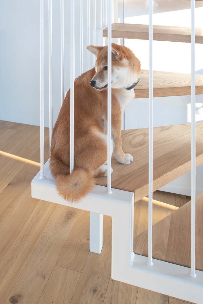 太阳路径屋丨LUNAARCH-38