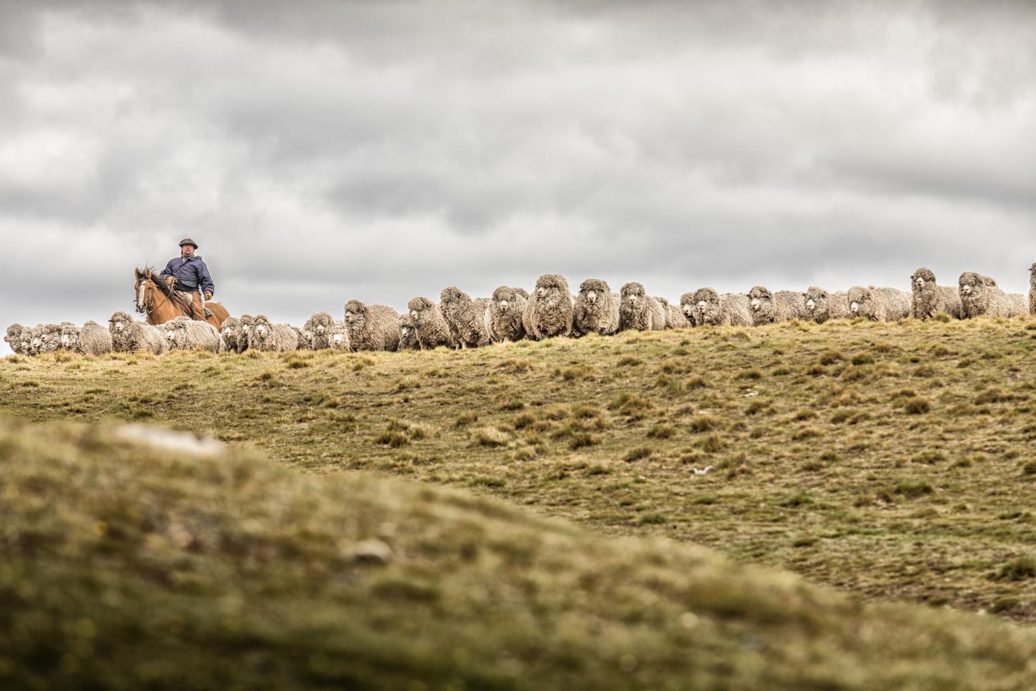阿根廷 Patagonia 牧场改建，简约实用融入当地传统-18