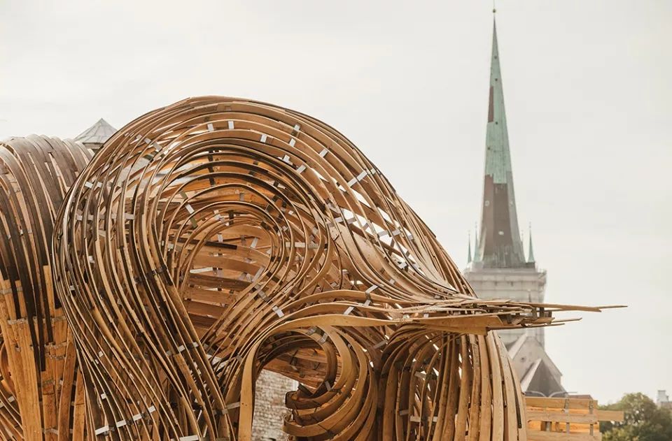 2019 塔林建筑双年展“Beauty Matters”探讨美学体验-20