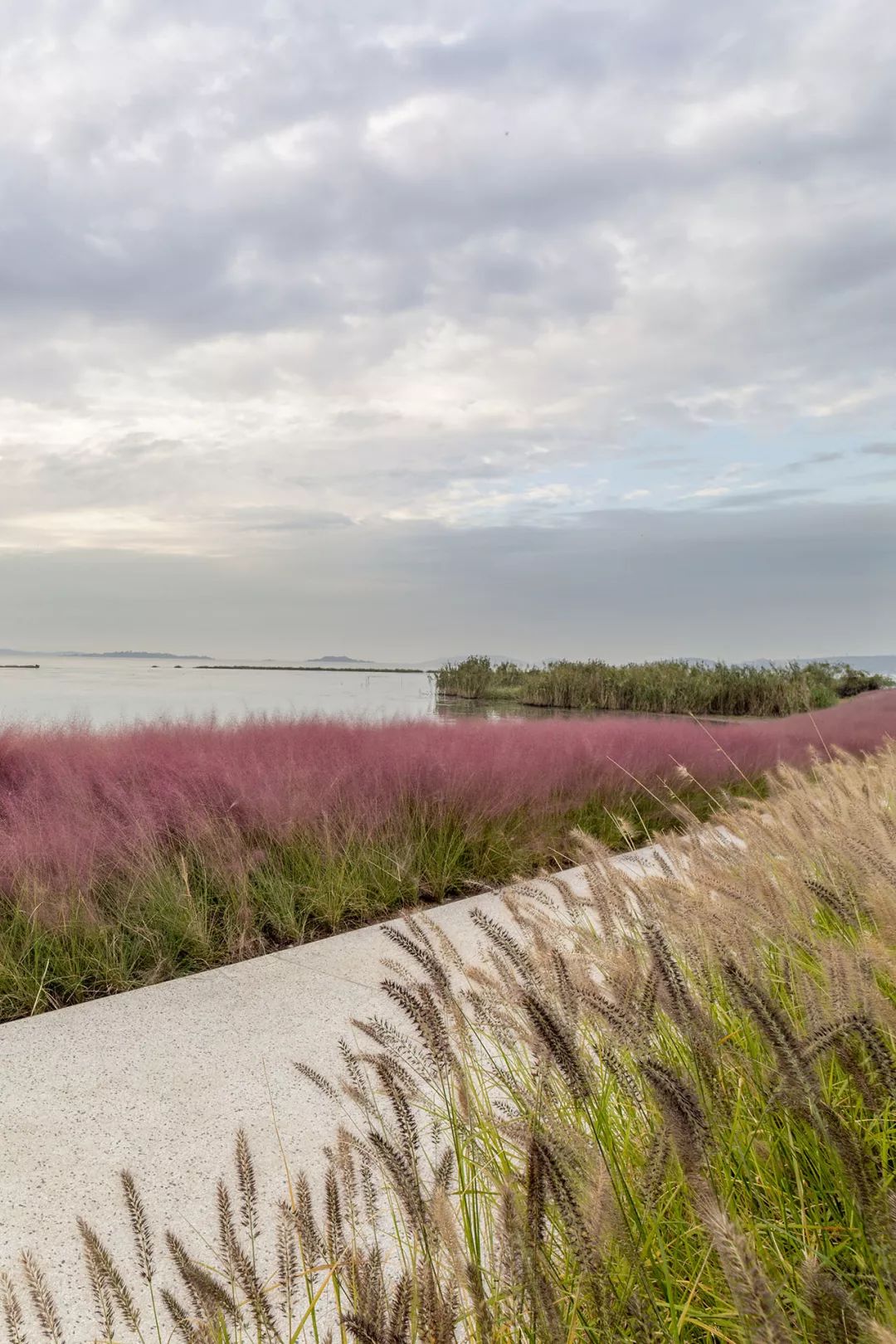 《雁归来》 | 水乡文化的现代解读-24