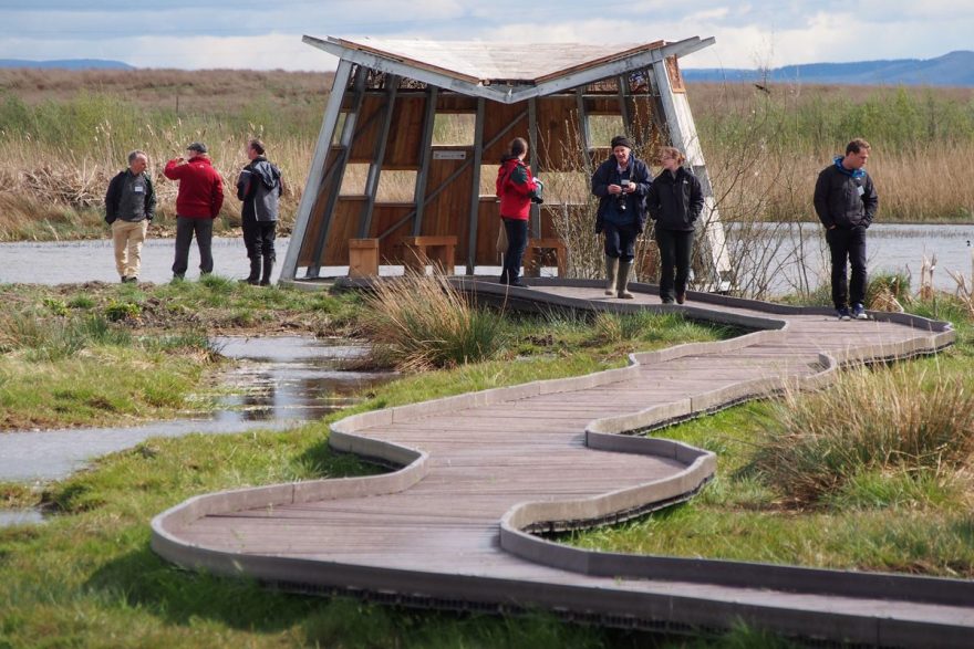 布莱克德文观景屏-9