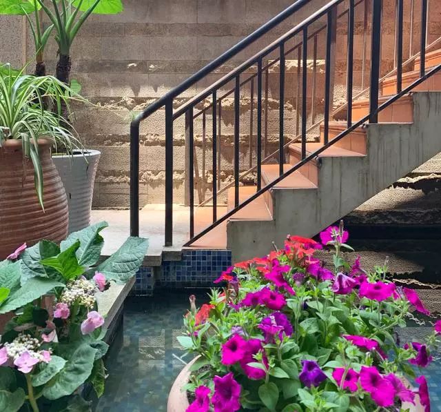 45天改造70㎡自家院子，他仅花4.2万元，改后的花园也太美了吧-56