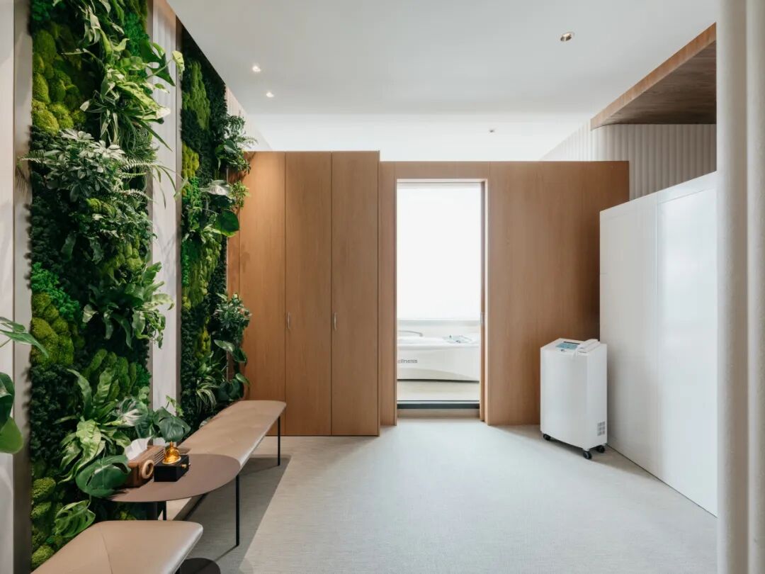 TERRA: Where Design Meets Wellbeing TERRA空间：设计与健康的交汇点-25