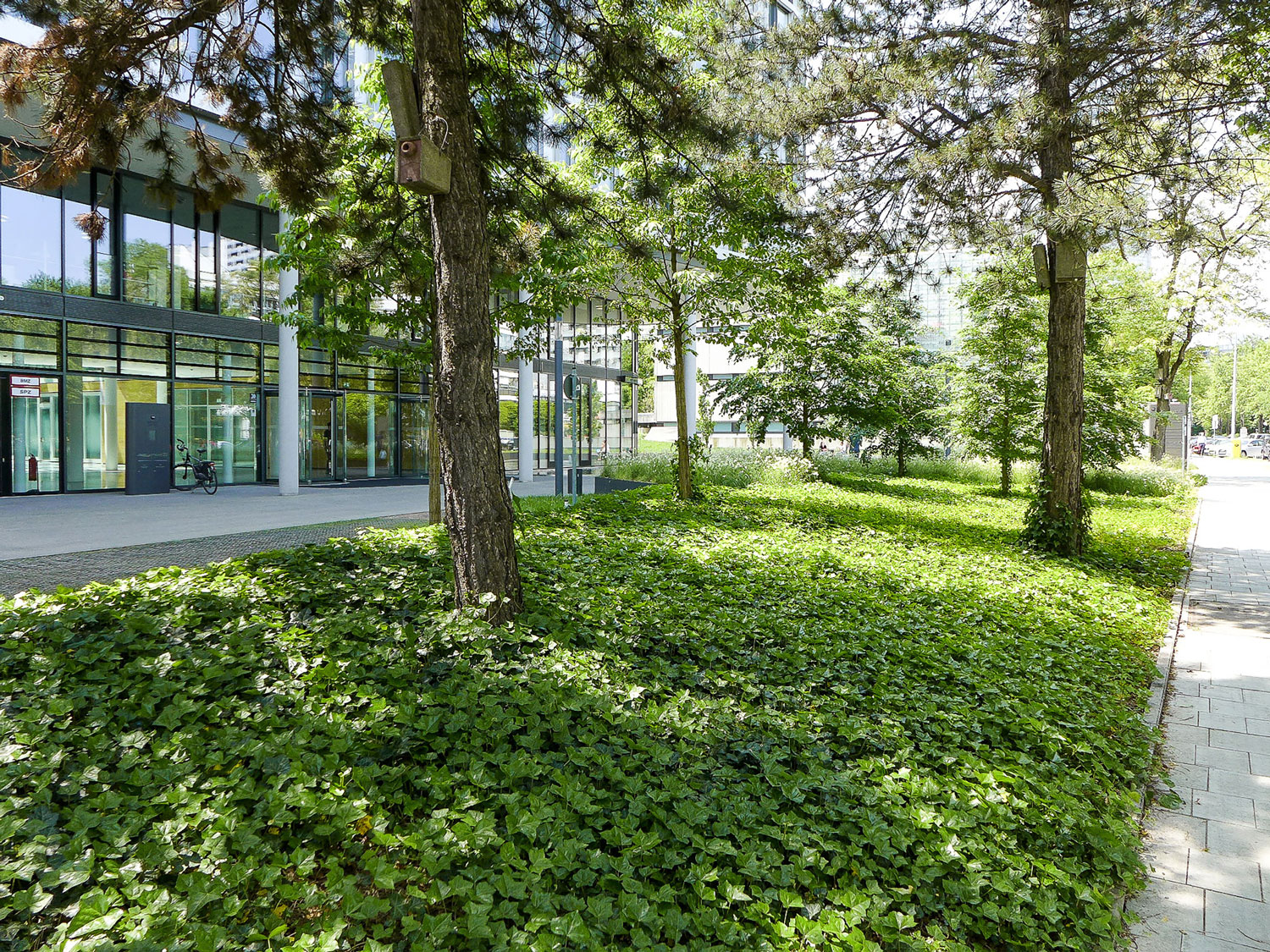 Munich Arabeska 公园式办公空间,融入自然的设计理念-21