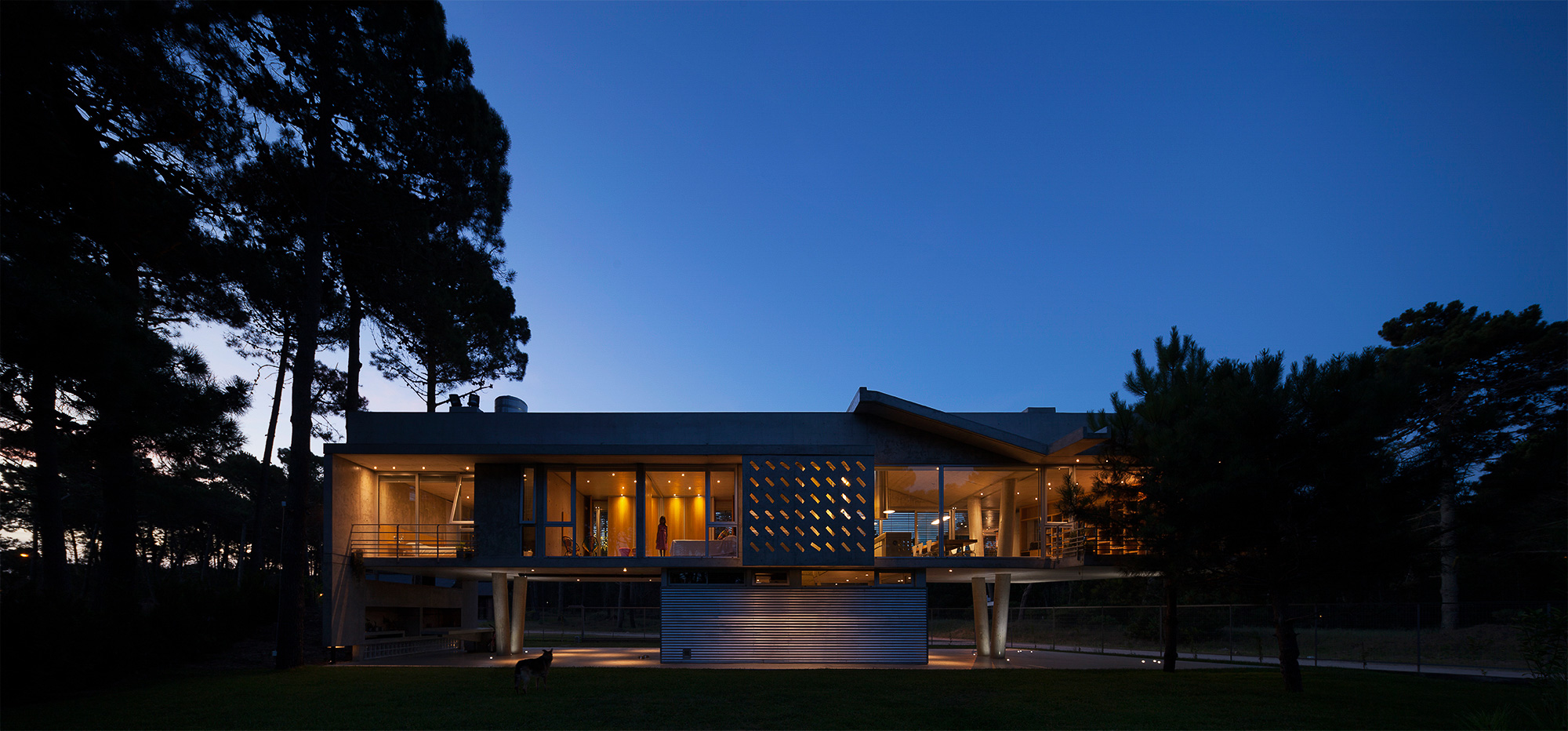 悬浮森林中的宁静家园-56