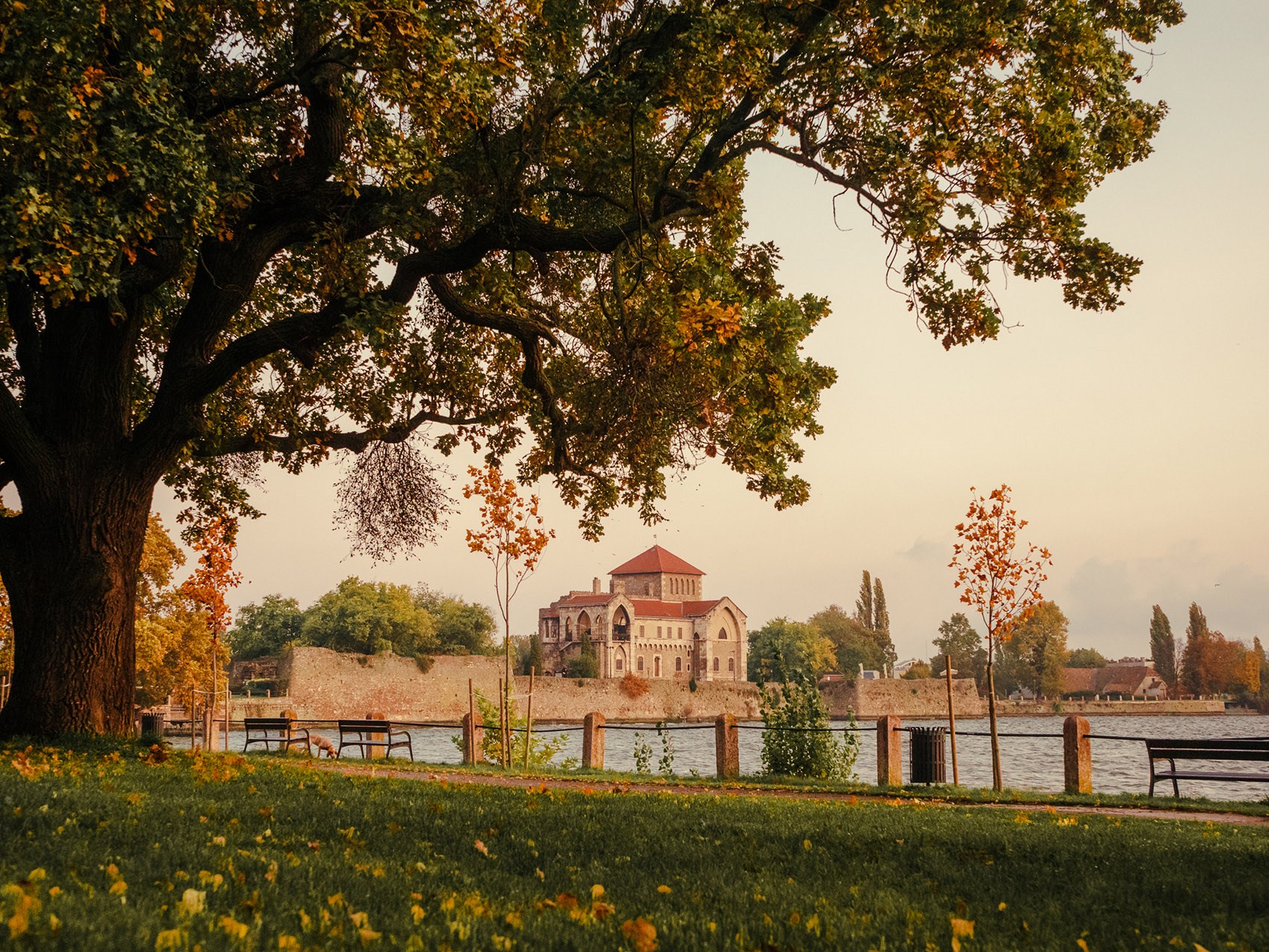 匈牙利 Platan 酒店水疗和休闲建筑丨Varro Design-3