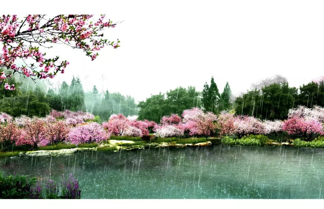 桂林漓江洲岛生态修复 | 绿色共生，重构人与自然和谐空间-35