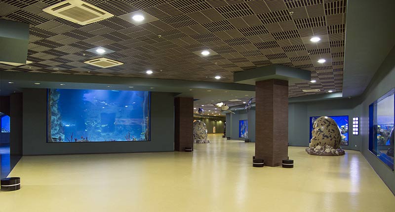 “Moskvarium”海洋馆丨俄罗斯莫斯科丨Aqua Logo Engineering-142