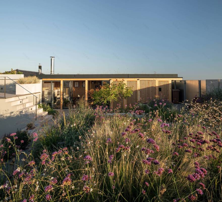 带中庭的家庭住宅丨捷克丨SENAA architekti-22