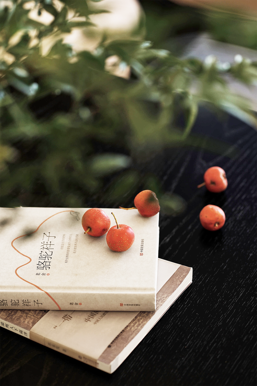 融苑(享粤四季)丨中国深圳丨蒂陌软装设计-53