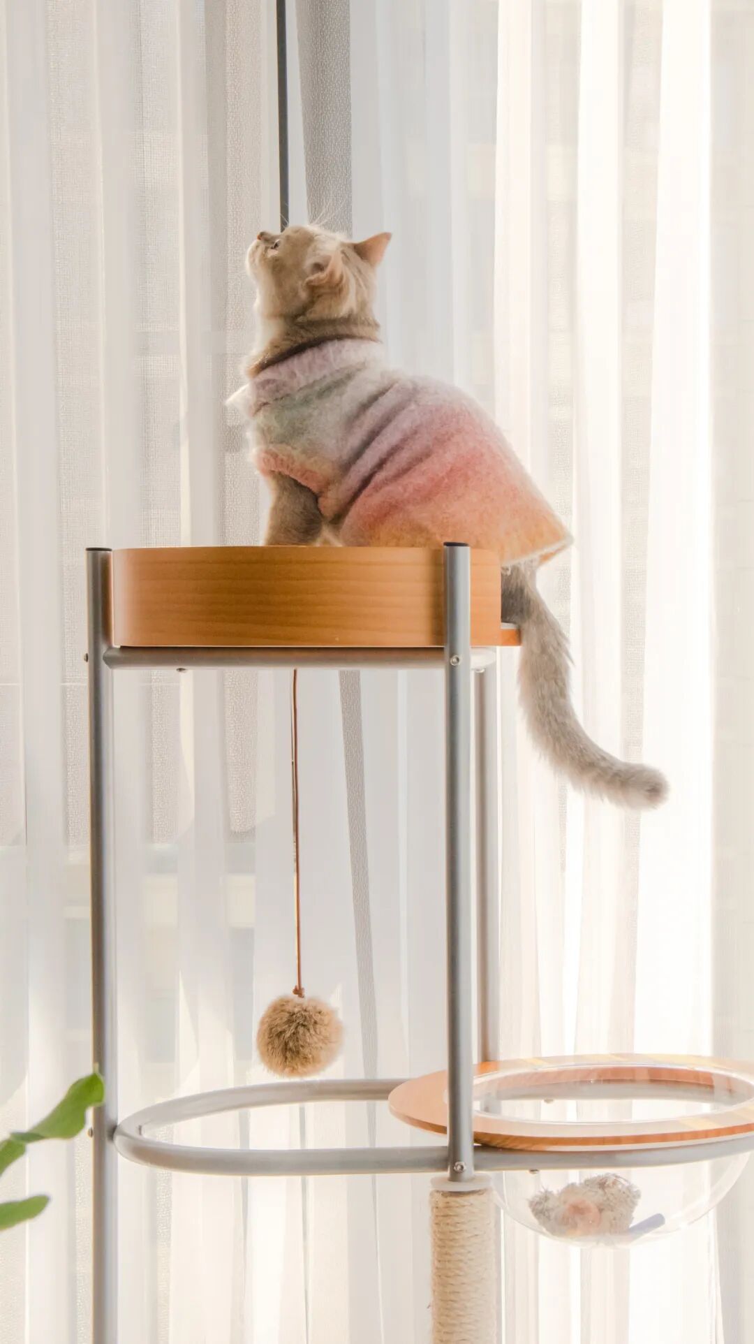 青木心作|和光翩翩-44