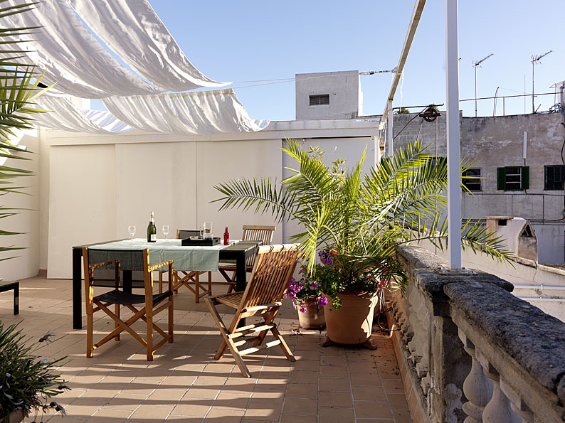 帕尔玛宫中的乡村风情-17