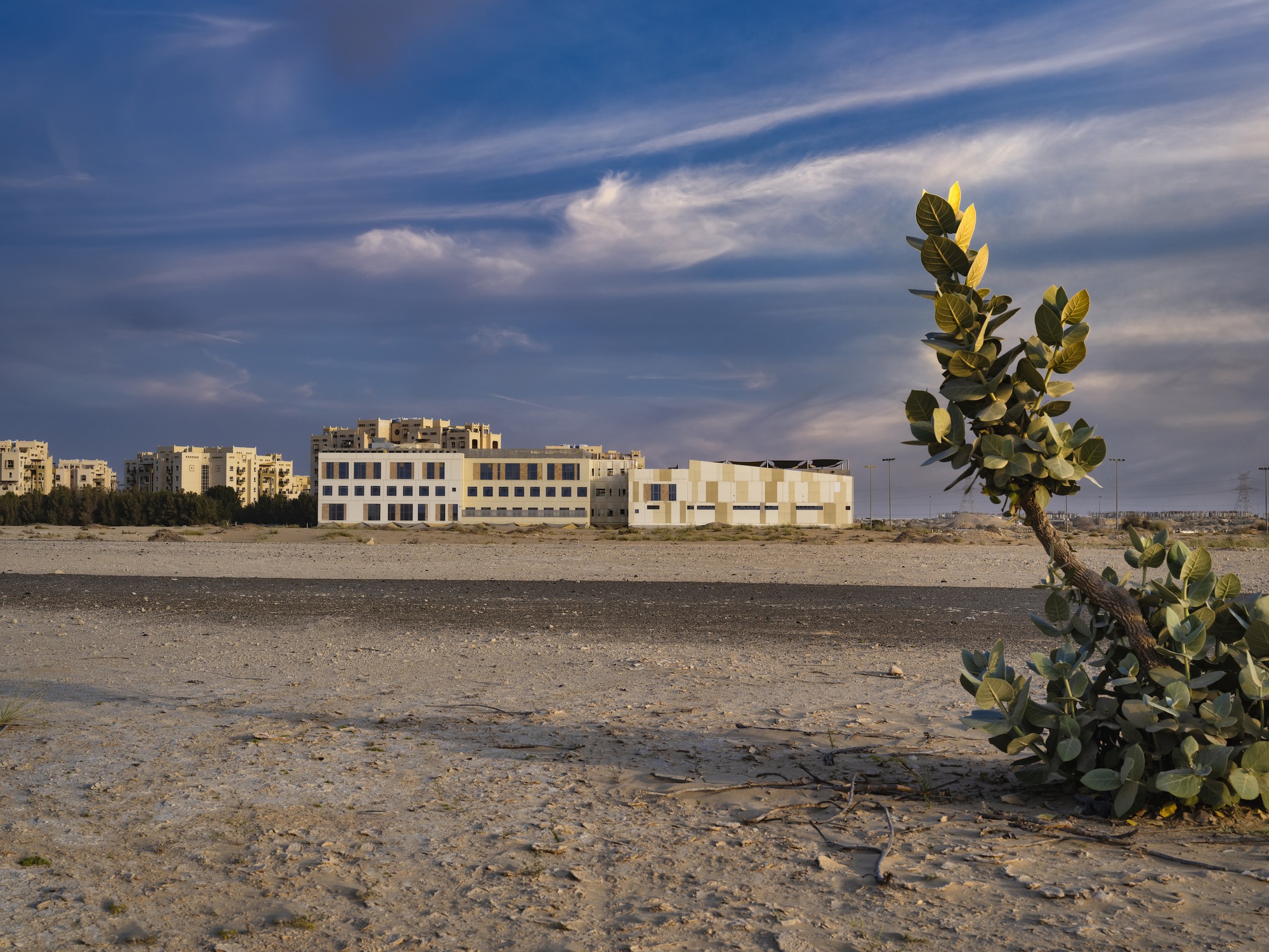 南景学校丨阿联酋迪拜丨R+D Studio-31