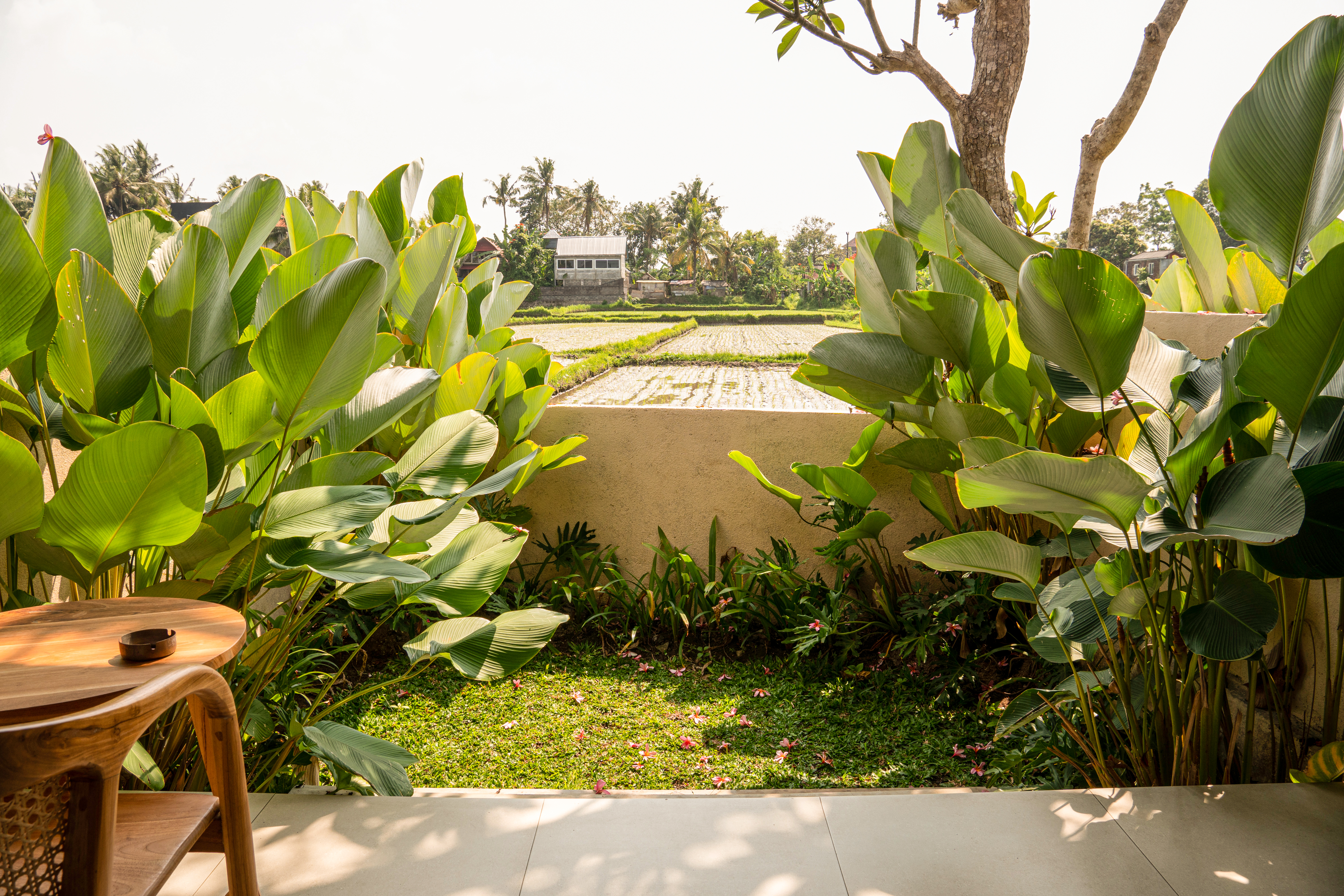 别墅摄影 图特温滕乌布-12