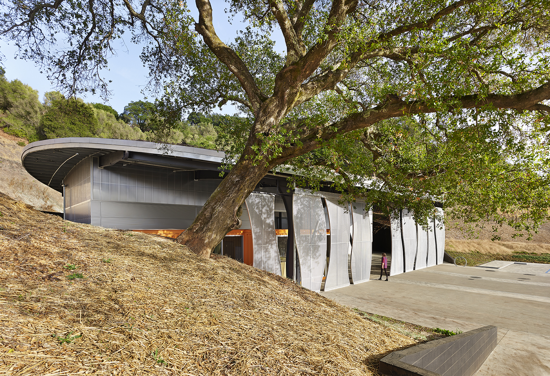 Odette Estate Winery | Signum Architecture-11