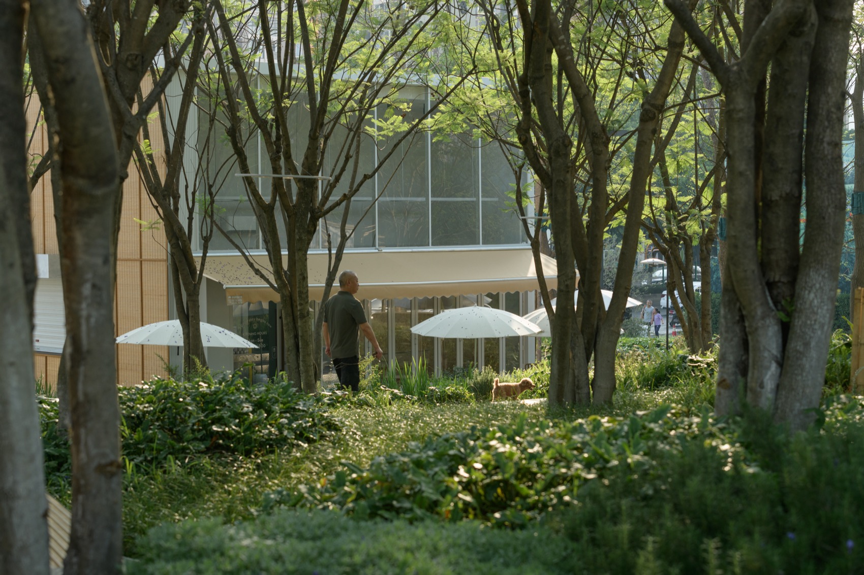 成都趣野公园(屋头公园)丨中国成都丨大小景观-94