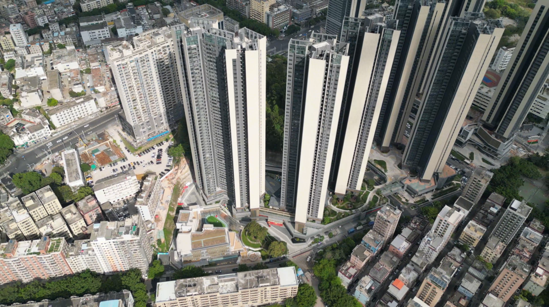 古树保护留住百年乡愁，城市更新提升人居品质丨建证幸福民生⑦-46