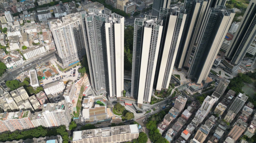 古树保护留住百年乡愁,城市更新提升人居品质丨建证幸福民生⑦-46