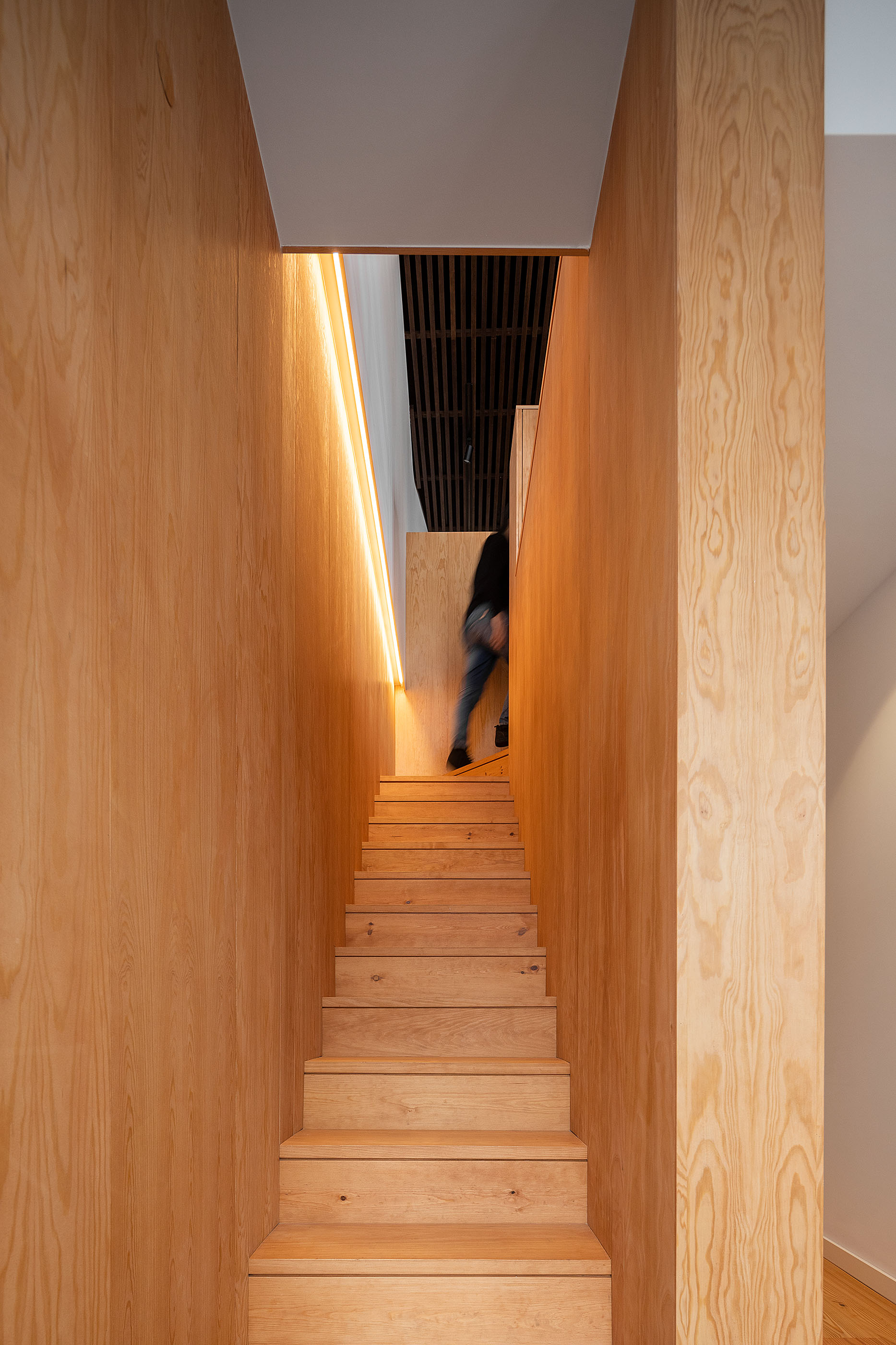 卡萨杜斯奥莱罗斯住宅 Casa dos Oleiros / PAULO MARTINS ARQ&DESIGN-16