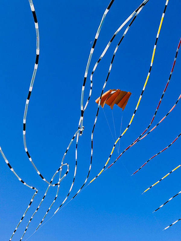 Festival International de Cerfs-Volants à Dieppe-6