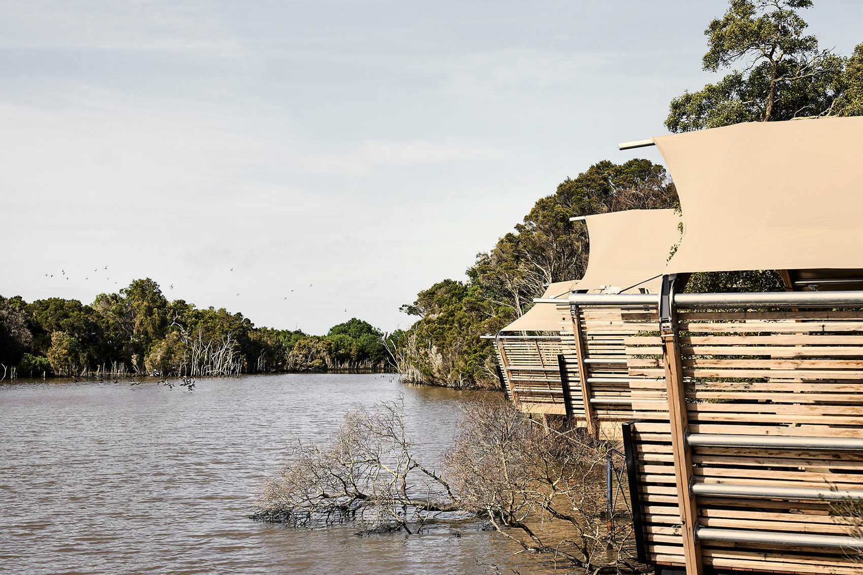 澳大利亚 Metung 温泉丨Splinter Society Architecture-6