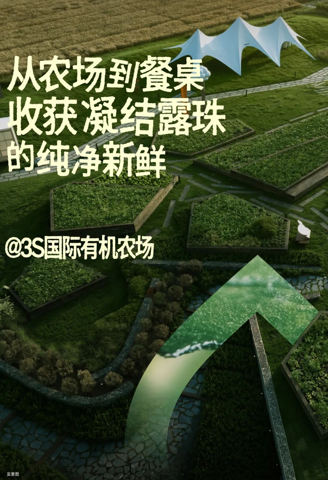 城市兴交付Vol.10｜抵达每一种生活的理想@理想大地·云之湾-35