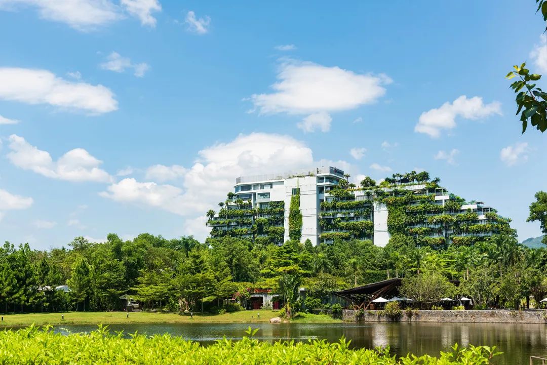 越南空中森林丨Flamingo Architecture-29