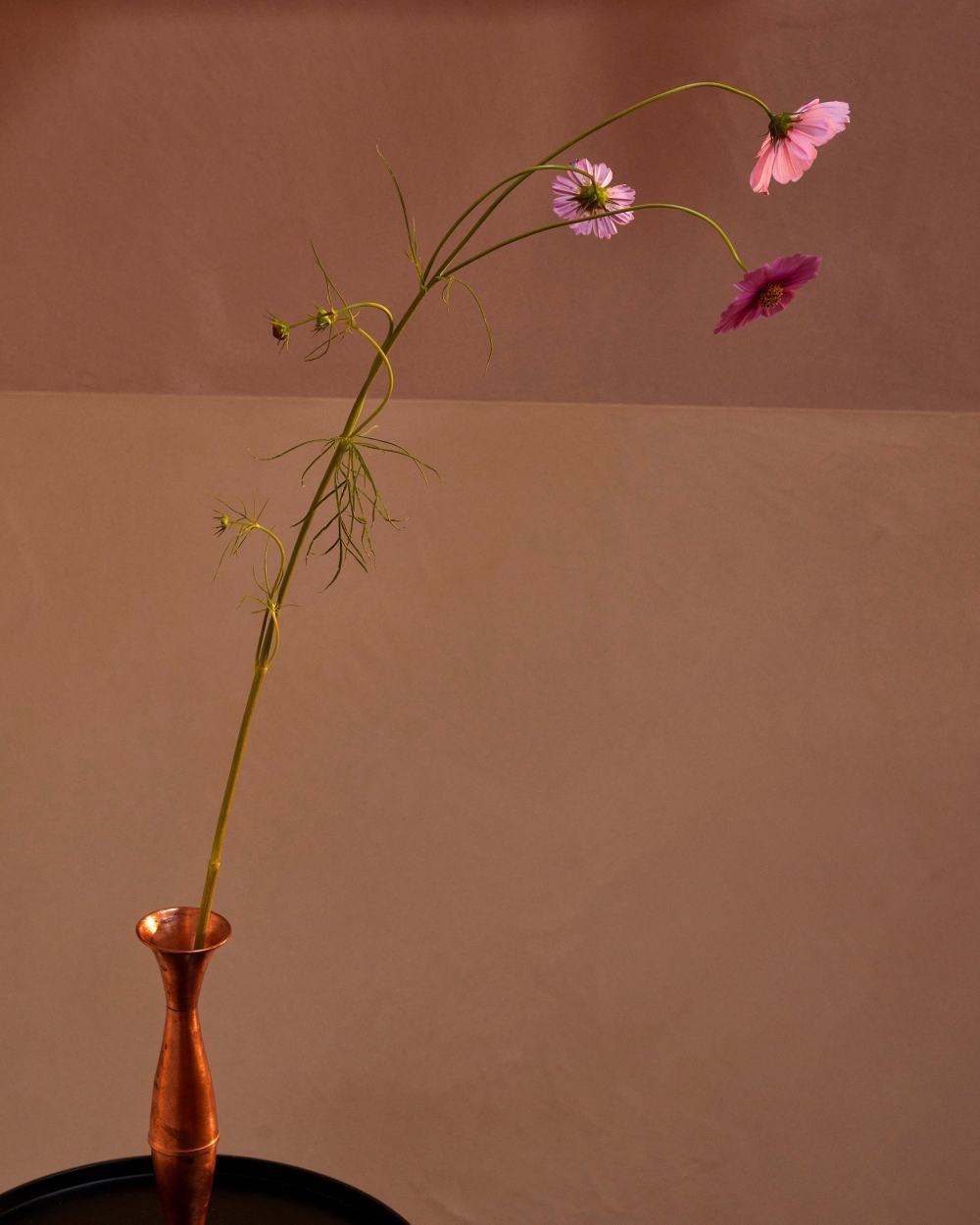 田园诗般的度假屋丨澳大利亚丨Story Design Collective-119