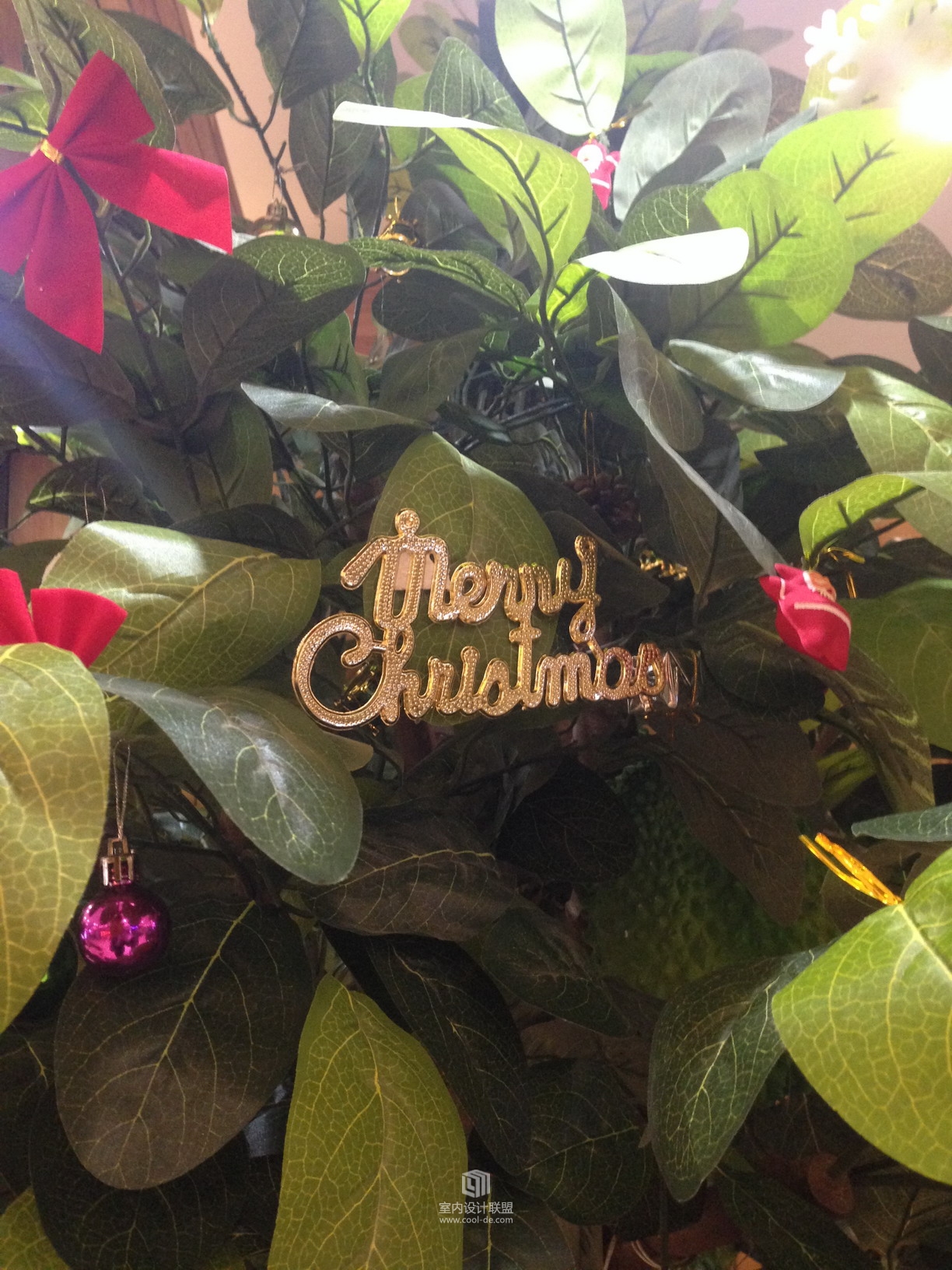 KISS榴莲-衡百国际店-21