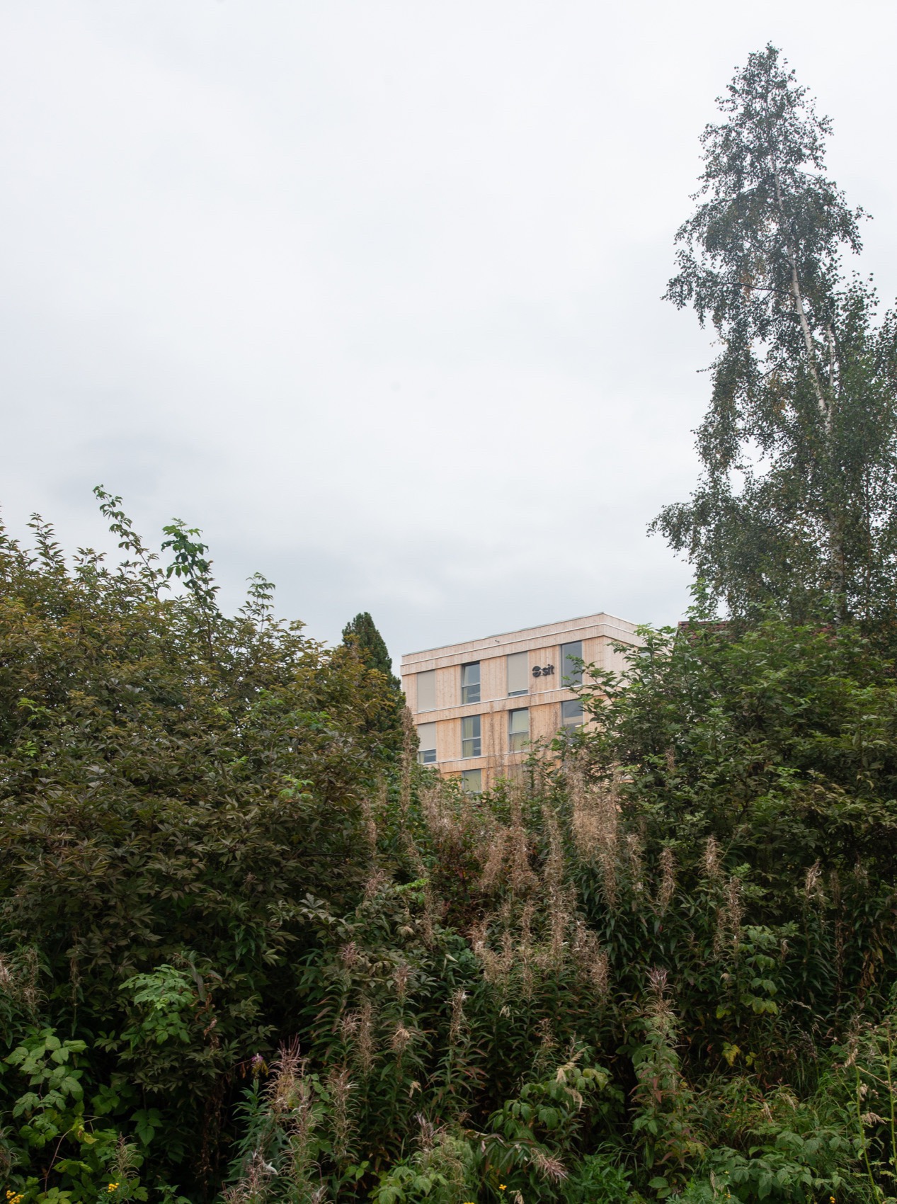 Kallerud学生公寓丨挪威-3